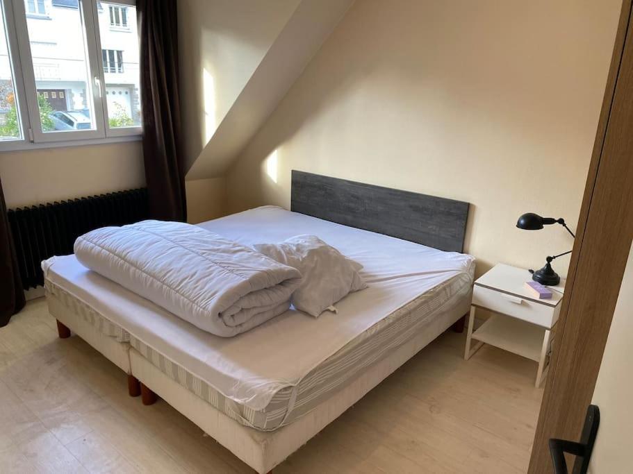 Appartement Spacieux 2 Chambres Quimper Exteriör bild